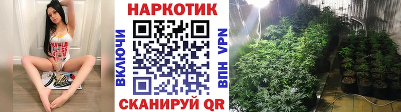 Галлюциногенные грибы Нововоронеж