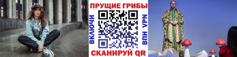 дарнет шоп  Нововоронеж  Псилоцибиновые грибы Psilocybe 